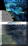 Amazon River in the Atlantic Ocean