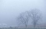 brouillard