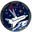[STS-67 Patch]