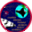 [STS-77 Patch]