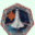 [STS-78 Patch]